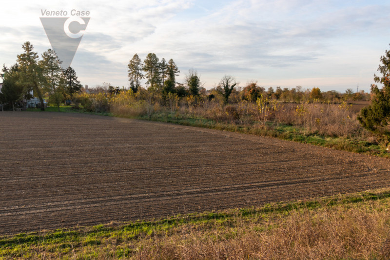 Vicinanza argine via Mascagni vendesi appezzamenti di terreno agricolo per un totale di 7625 mq c...
