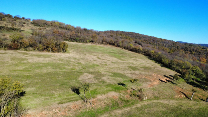 In posizione collinare proponiamo un bel lotto di terreno di circa mq. 4.000 con possibilità edif...