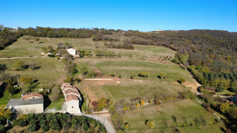 In posizione collinare proponiamo un bel lotto di terreno di circa mq. 4.000 con possibilità edif...