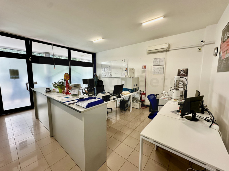 Nel centro pulsante di Limena, proponiamo in vendita un negozio spazioso e ben strutturato, ideal...