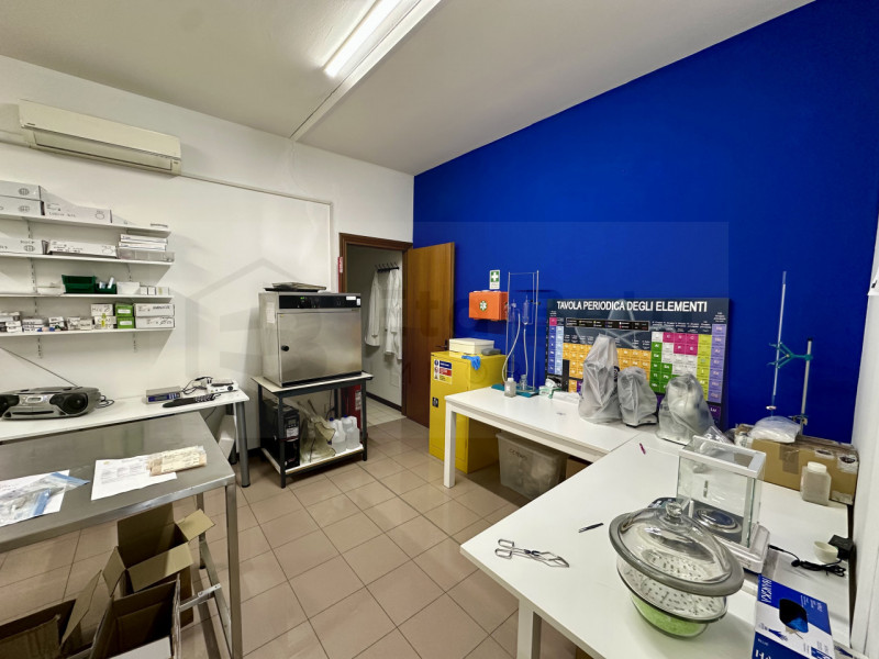 Nel centro pulsante di Limena, proponiamo in vendita un negozio spazioso e ben strutturato, ideal...