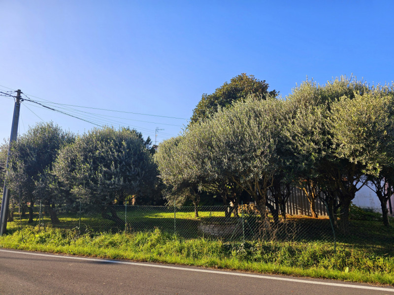 Stai cercando l'opportunità perfetta per costruire la casa dei tuoi sogni? Proponiamo in vendita ...