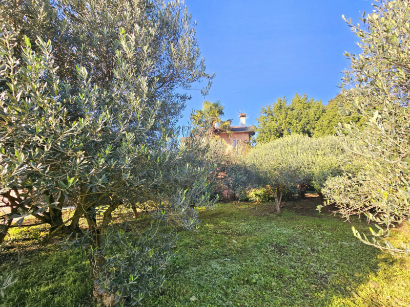 Stai cercando l'opportunità perfetta per costruire la casa dei tuoi sogni? Proponiamo in vendita ...