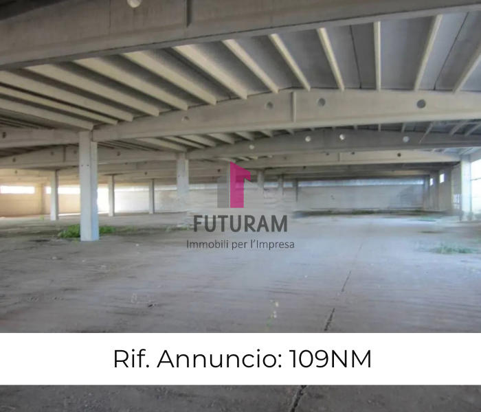 RIF: 109NM - BOVOLENTA (PD) - PER INFO 340 335 8378 - 0444/310220


propongo in affitto un capann...