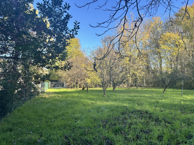 Treviso - San Giuseppe
In zona residenziale, nelle immediate vicinanze di tutti i servizi di prim...