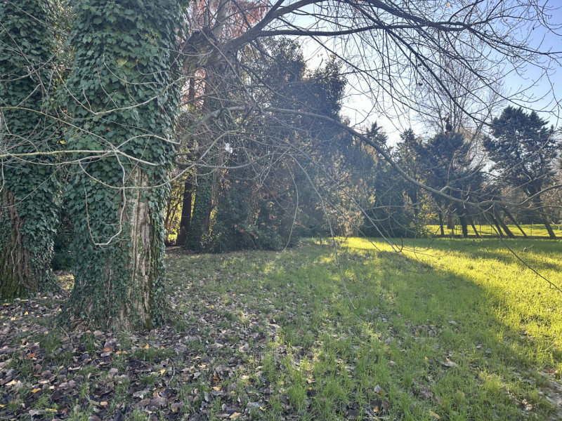 Treviso - San Giuseppe
In zona residenziale, nelle immediate vicinanze di tutti i servizi di prim...