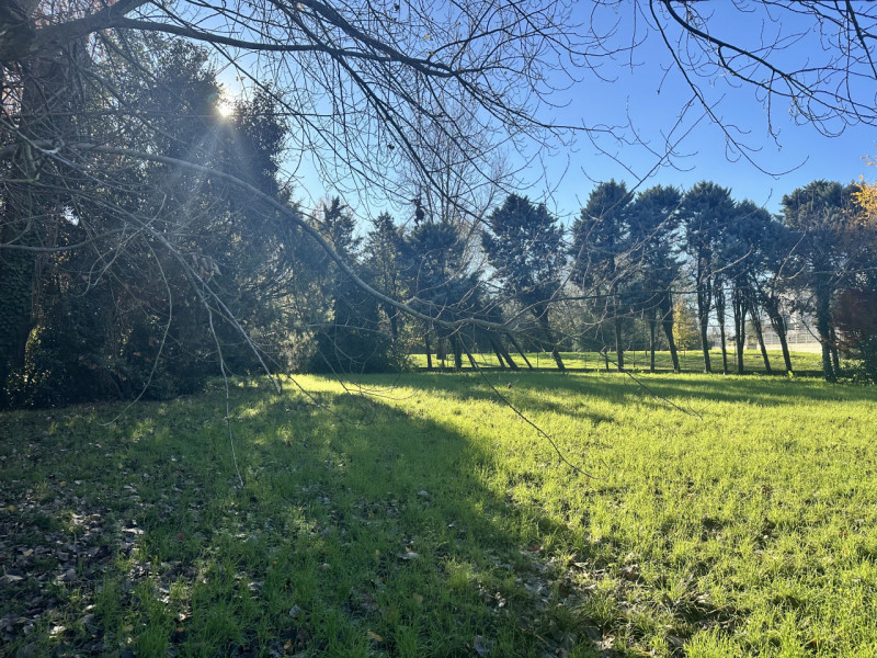 Treviso - San Giuseppe
In zona residenziale, nelle immediate vicinanze di tutti i servizi di prim...