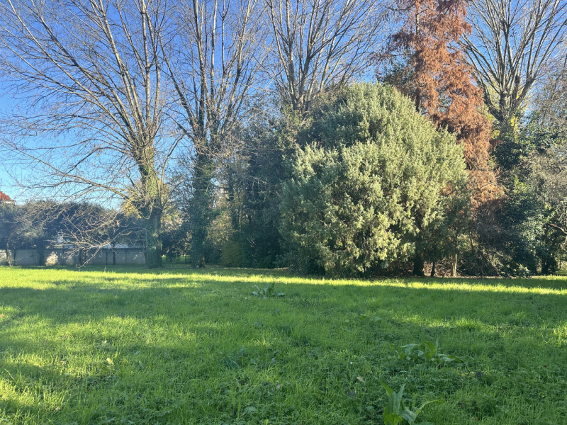 Treviso - San Giuseppe
In zona residenziale, nelle immediate vicinanze di tutti i servizi di prim...