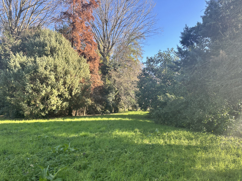 Treviso - San Giuseppe
In zona residenziale, nelle immediate vicinanze di tutti i servizi di prim...