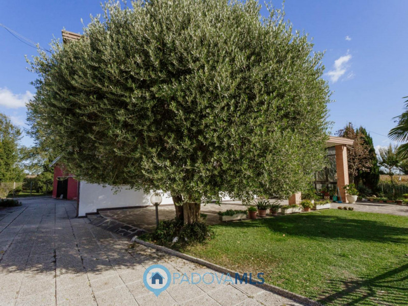 Immobile in esclusiva al Gruppo Padova MLS
In una tranquilla zona di campagna ad Agna, non distan...