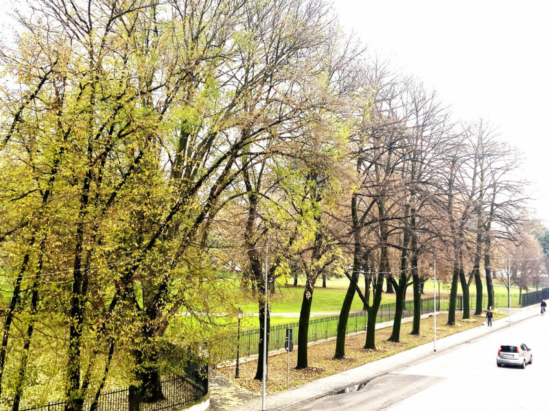 Scopri questo elegante appartamento trilocale nel prestigioso quartiere di Viale Milano, a Vicenz...