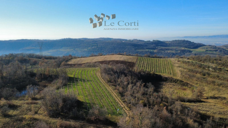 Proponiamo in vendita un ampio appezzamento di terreno agricolo, situato nel suggestivo comune di...