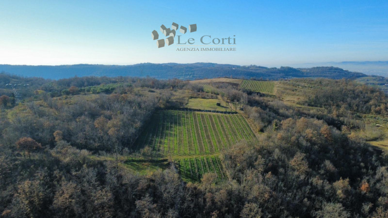 Proponiamo in vendita un ampio appezzamento di terreno agricolo, situato nel suggestivo comune di...