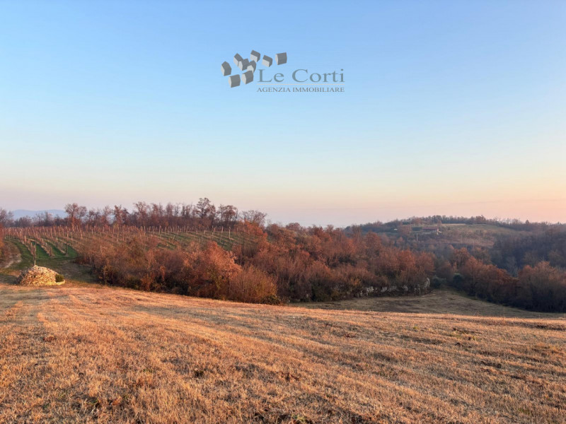 Proponiamo in vendita un ampio appezzamento di terreno agricolo, situato nel suggestivo comune di...
