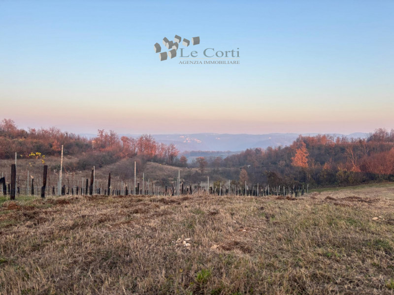 Proponiamo in vendita un ampio appezzamento di terreno agricolo, situato nel suggestivo comune di...
