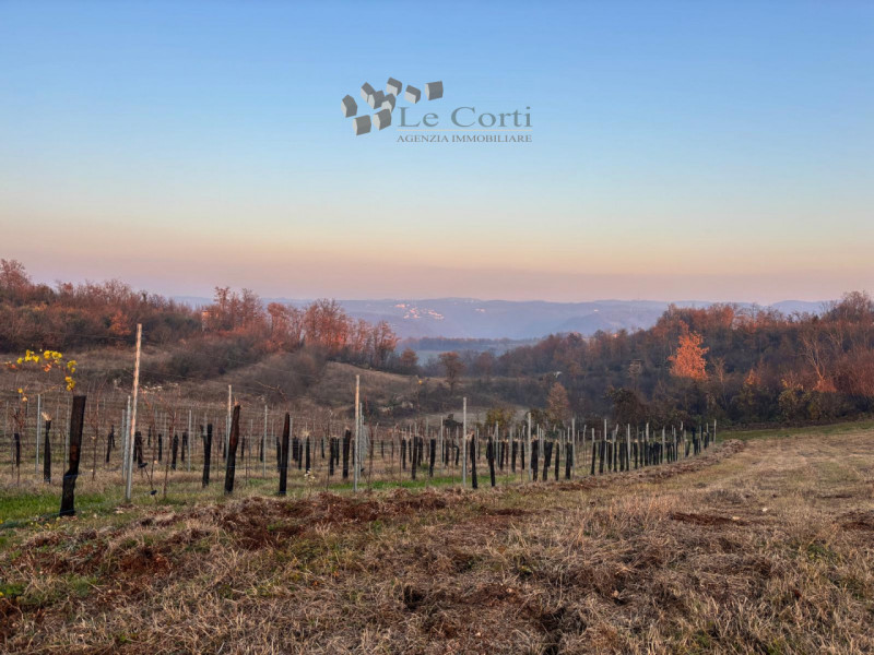 Proponiamo in vendita un ampio appezzamento di terreno agricolo, situato nel suggestivo comune di...