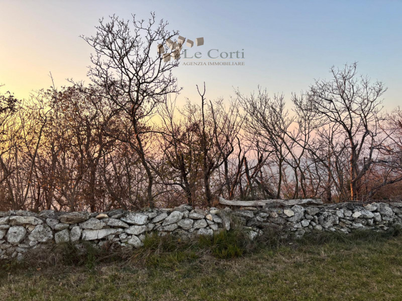 Proponiamo in vendita un ampio appezzamento di terreno agricolo, situato nel suggestivo comune di...