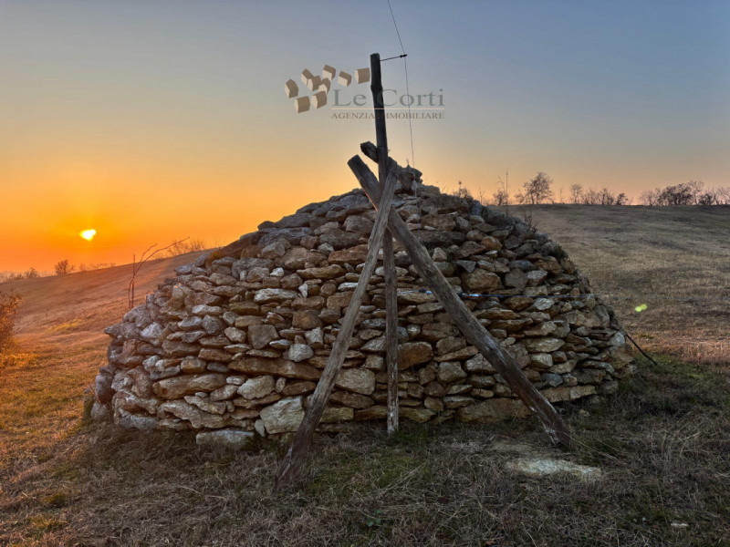 Proponiamo in vendita un ampio appezzamento di terreno agricolo, situato nel suggestivo comune di...