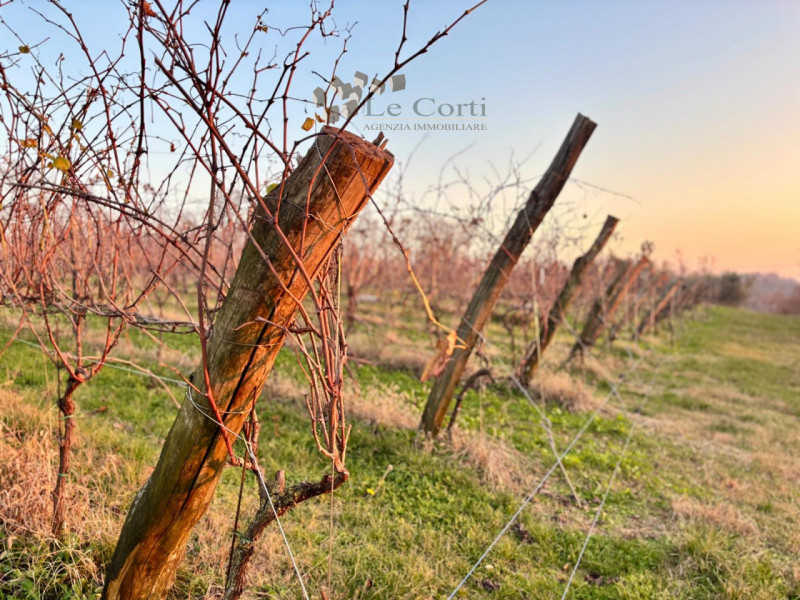 Proponiamo in vendita un ampio appezzamento di terreno agricolo, situato nel suggestivo comune di...