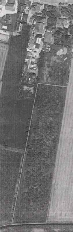 Rif. A.A.09-242

Offerta in asta - terreno agricolo in data 21 gennaio 2026

Descrizione: trattas...