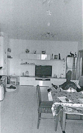 Rif. A.A.301-21

Vendita all'asta - appartamento al piano terra in data 23 gennaio 2026 

Descriz...