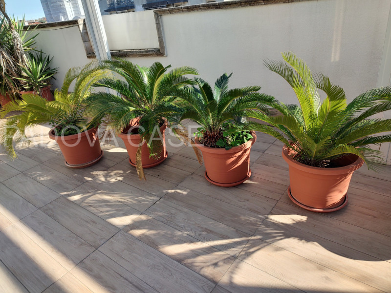 SAVONAROLA - PORTA TRENTO 

Savonarola fuori mura (tre Porta Savonarola e Porta Trento) appartame...