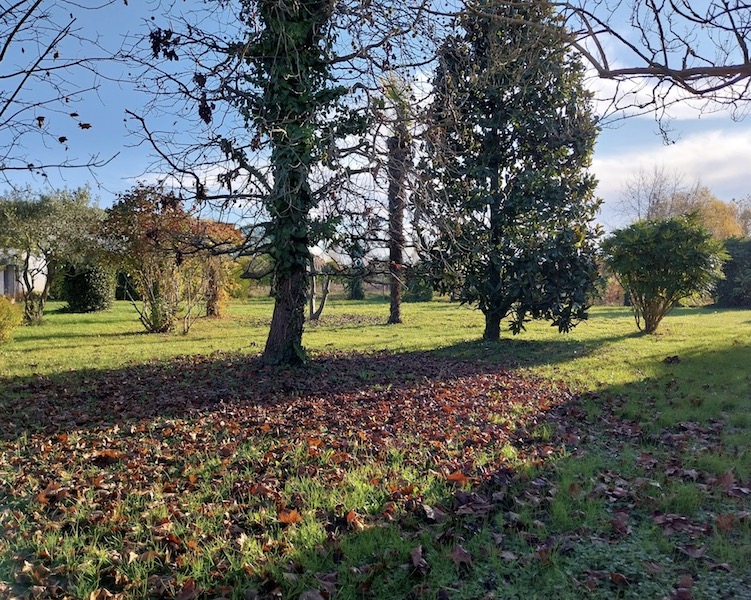 SAONARA- Proponiamo terreno edificabile di 1.100 mq con 600 metri cubi realizzabili, ideale per l...