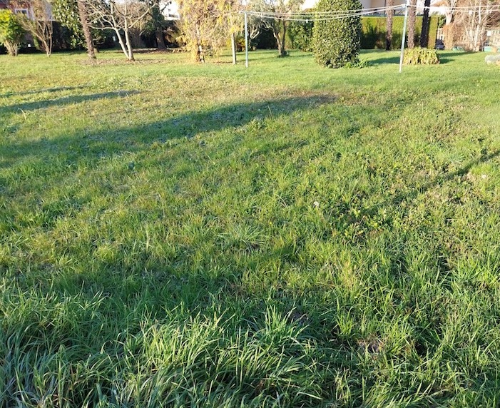 SAONARA- Proponiamo terreno edificabile di 1.100 mq con 600 metri cubi realizzabili, ideale per l...