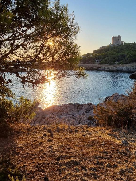 (Per INFO Roberto 3453195338) L'Oasi Salentina: In vendita a Santa Caterina di Nardò (LE), propon...