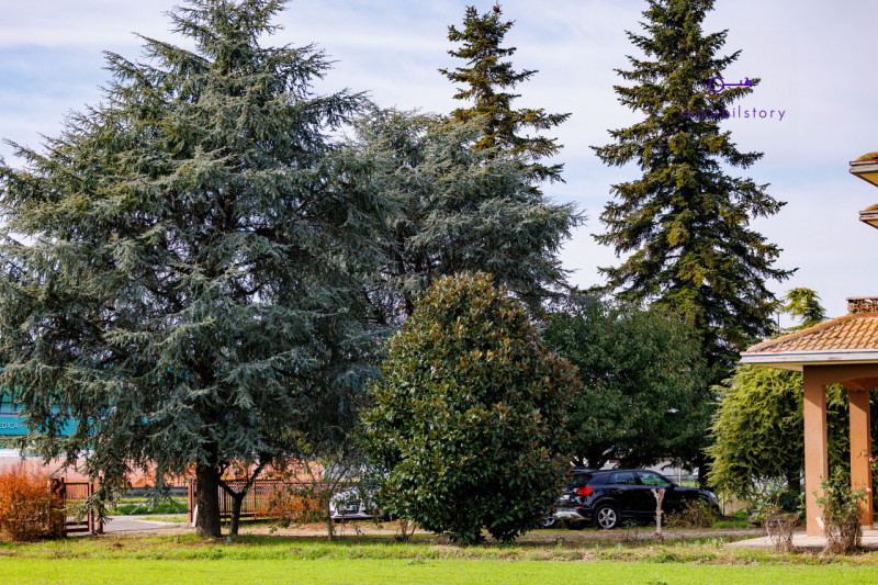 Casa singola di circa 200 mq con 1500 mq di terreno.

L’immobile è stato mantenuto con cura e si ...