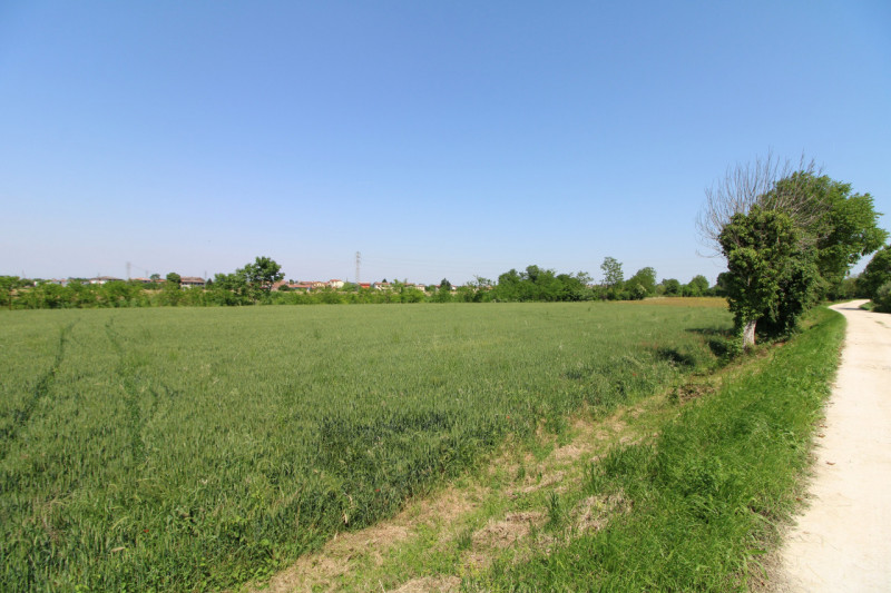 PERNUMIA: in zona di campagna, lontana da strade trafficate, si propone in vendita lotto di terre...