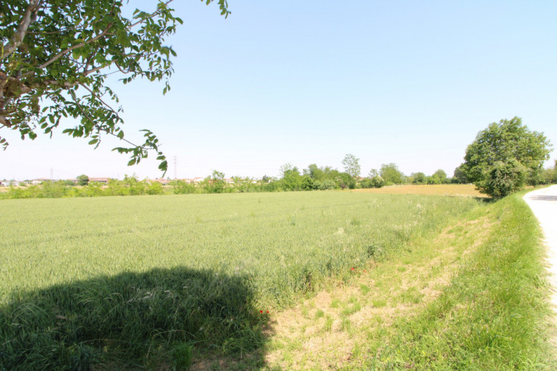 PERNUMIA: in zona di campagna, lontana da strade trafficate, si propone in vendita lotto di terre...