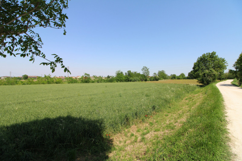PERNUMIA: in zona di campagna, lontana da strade trafficate, si propone in vendita lotto di terre...