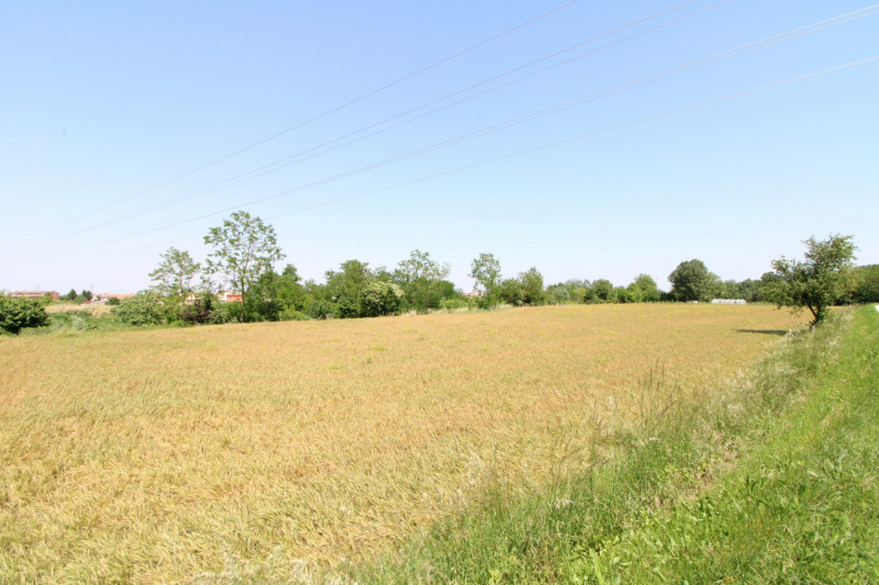PERNUMIA: in zona di campagna, lontana da strade trafficate, si propone in vendita lotto di terre...