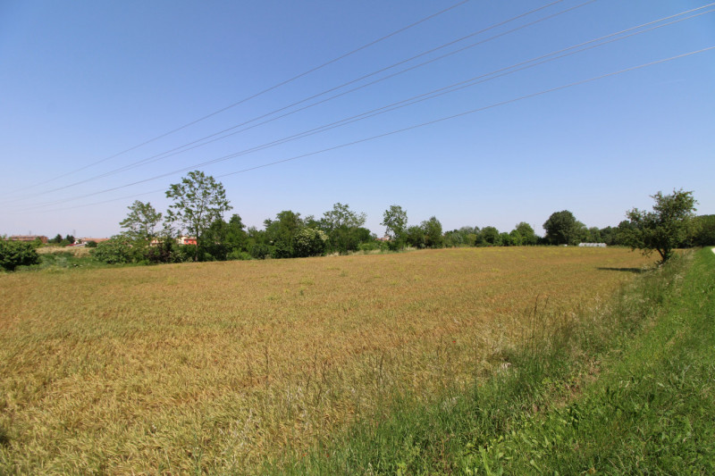 PERNUMIA: in zona di campagna, lontana da strade trafficate, si propone in vendita lotto di terre...
