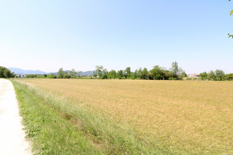 PERNUMIA: in zona di campagna, lontana da strade trafficate, si propone in vendita lotto di terre...