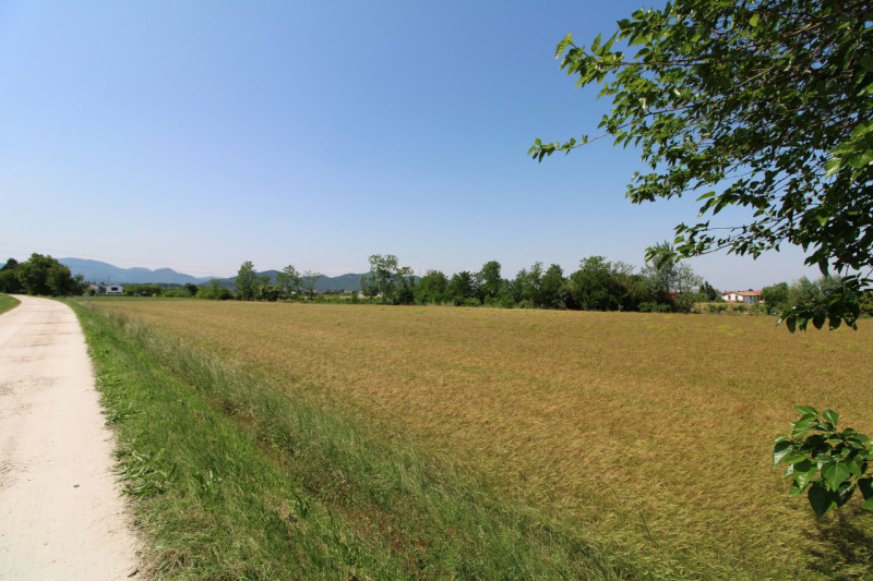 PERNUMIA: in zona di campagna, lontana da strade trafficate, si propone in vendita lotto di terre...