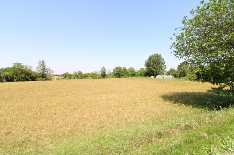 PERNUMIA: in zona di campagna, lontana da strade trafficate, si propone in vendita lotto di terre...