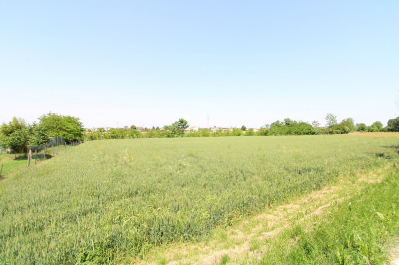 PERNUMIA: in zona di campagna, lontana da strade trafficate, si propone in vendita lotto di terre...