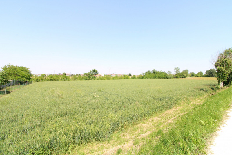 PERNUMIA: in zona di campagna, lontana da strade trafficate, si propone in vendita lotto di terre...