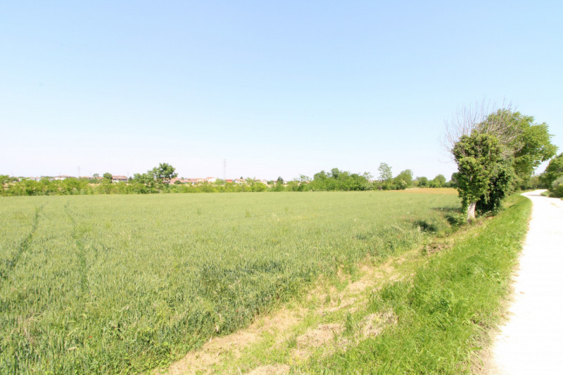 PERNUMIA: in zona di campagna, lontana da strade trafficate, si propone in vendita lotto di terre...