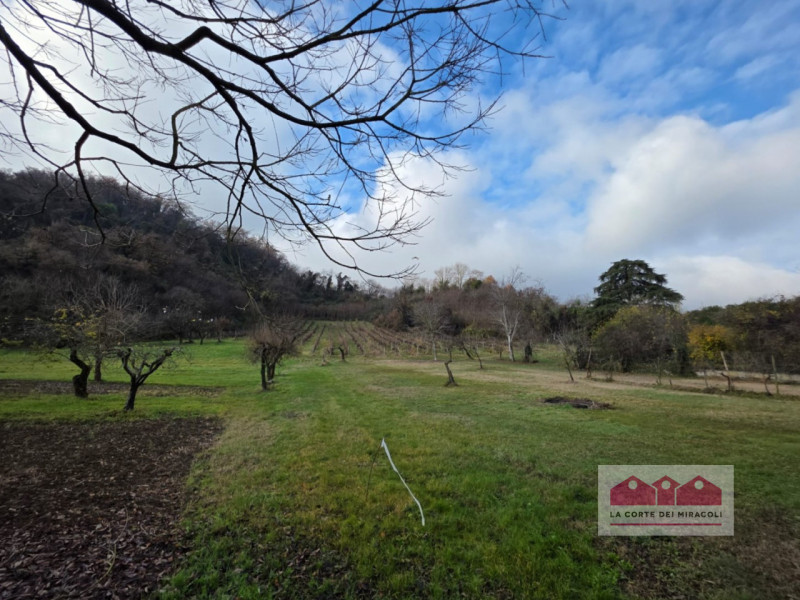 ZONA VALLETTA DEL SILENZIO/ROTONDA: 10.000 MQ DI BOSCO E 15.500 CIRCA DI PRATO E SEMINATIVO, ORA ...