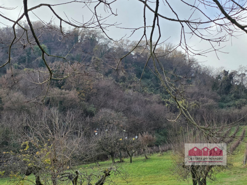 ZONA VALLETTA DEL SILENZIO/ROTONDA: 10.000 MQ DI BOSCO E 15.500 CIRCA DI PRATO E SEMINATIVO, ORA ...