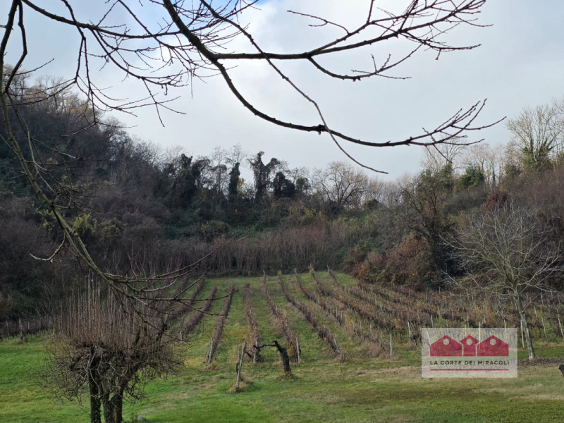 ZONA VALLETTA DEL SILENZIO/ROTONDA: 10.000 MQ DI BOSCO E 15.500 CIRCA DI PRATO E SEMINATIVO, ORA ...