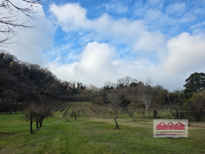 ZONA VALLETTA DEL SILENZIO/ROTONDA: 10.000 MQ DI BOSCO E 15.500 CIRCA DI PRATO E SEMINATIVO, ORA ...