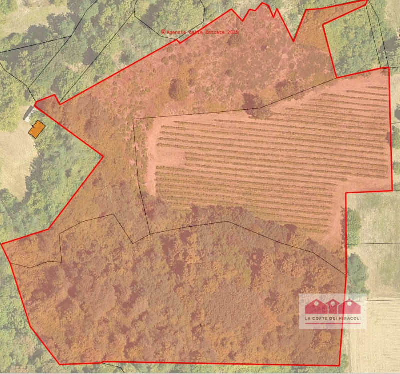 ZONA VALLETTA DEL SILENZIO/ROTONDA: 10.000 MQ DI BOSCO E 15.500 CIRCA DI PRATO E SEMINATIVO, ORA ...