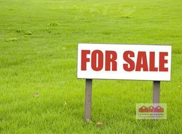 ZONA VALLETTA DEL SILENZIO/ROTONDA: 10.000 MQ DI BOSCO E 15.500 CIRCA DI PRATO E SEMINATIVO, ORA ...