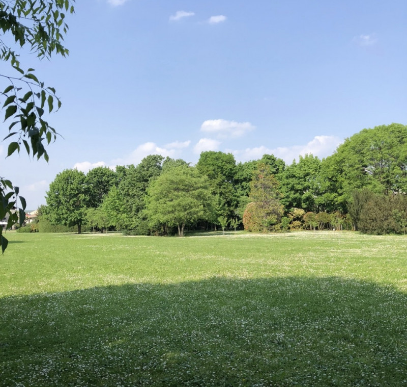 (Per INFO Stefania 3409601861) In vendita esclusiva proponiamo una straordinaria proprietà immers...