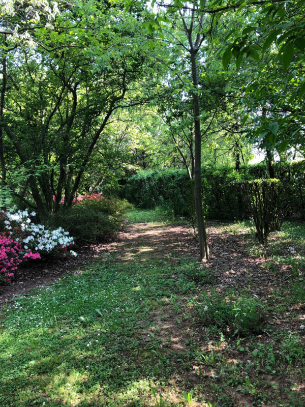 (Per INFO Stefania 3409601861) In vendita esclusiva proponiamo una straordinaria proprietà immers...