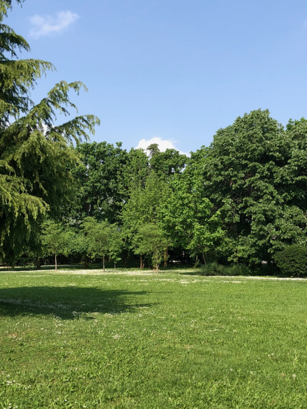 (Per INFO Stefania 3409601861) In vendita esclusiva proponiamo una straordinaria proprietà immers...